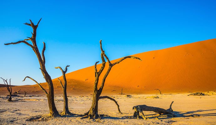 Namibrand : immersion dans le désert version supérieure 