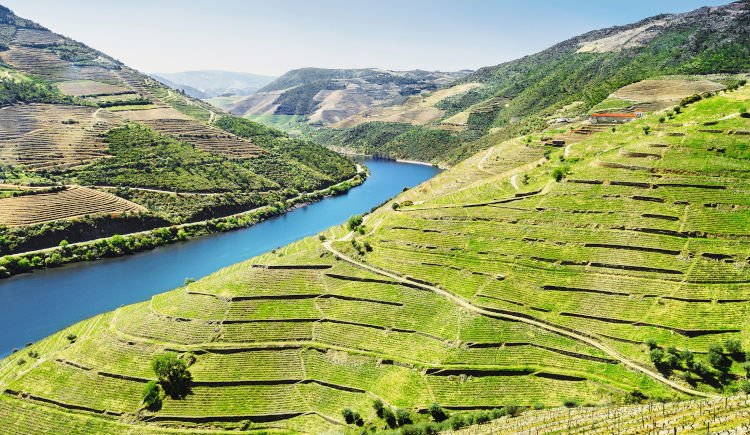 Vallée du Douro : Sur la route des vins 